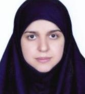 مریم برهمن