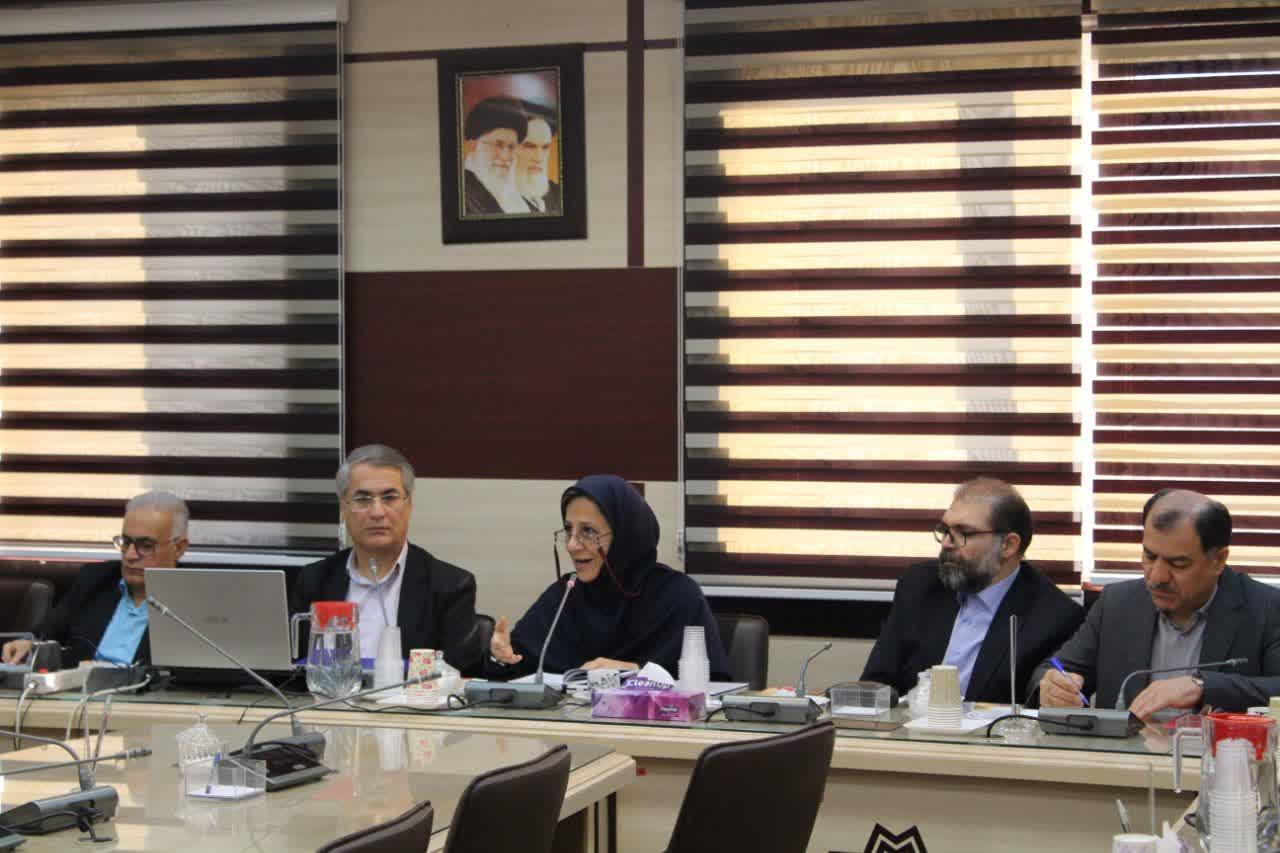 حضور معاون پژوهشی دانشگاه در جلسه شورای آموزشی و پژوهشی دانشکده
