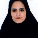 زهرا شریفی ابدر