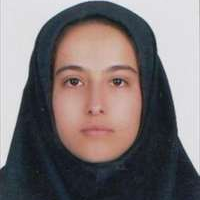 کوثر امینی