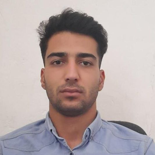 محمدامین تیمورپور