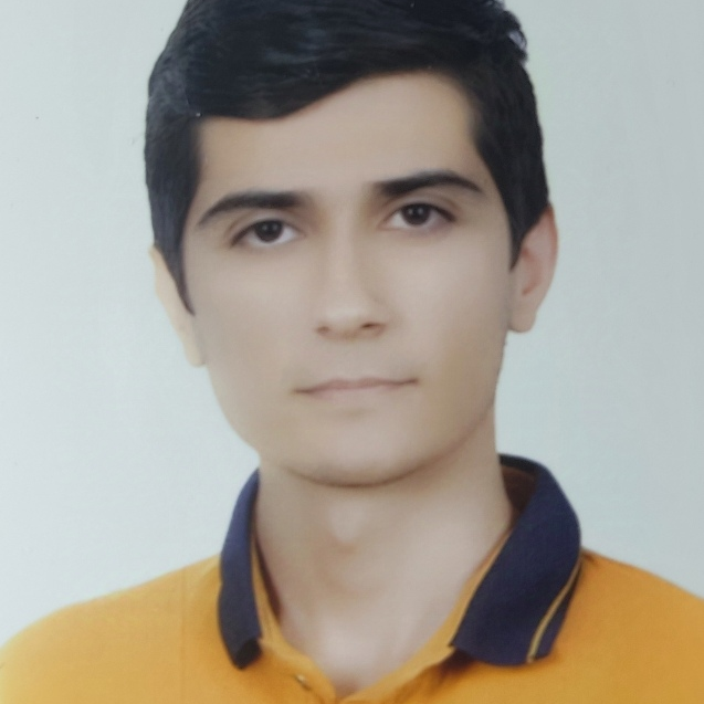 مهدی برزگری بنادکوکی