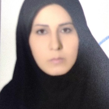 نجمه برزگرقره بلاغ