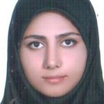 دینا عسکری تورزن