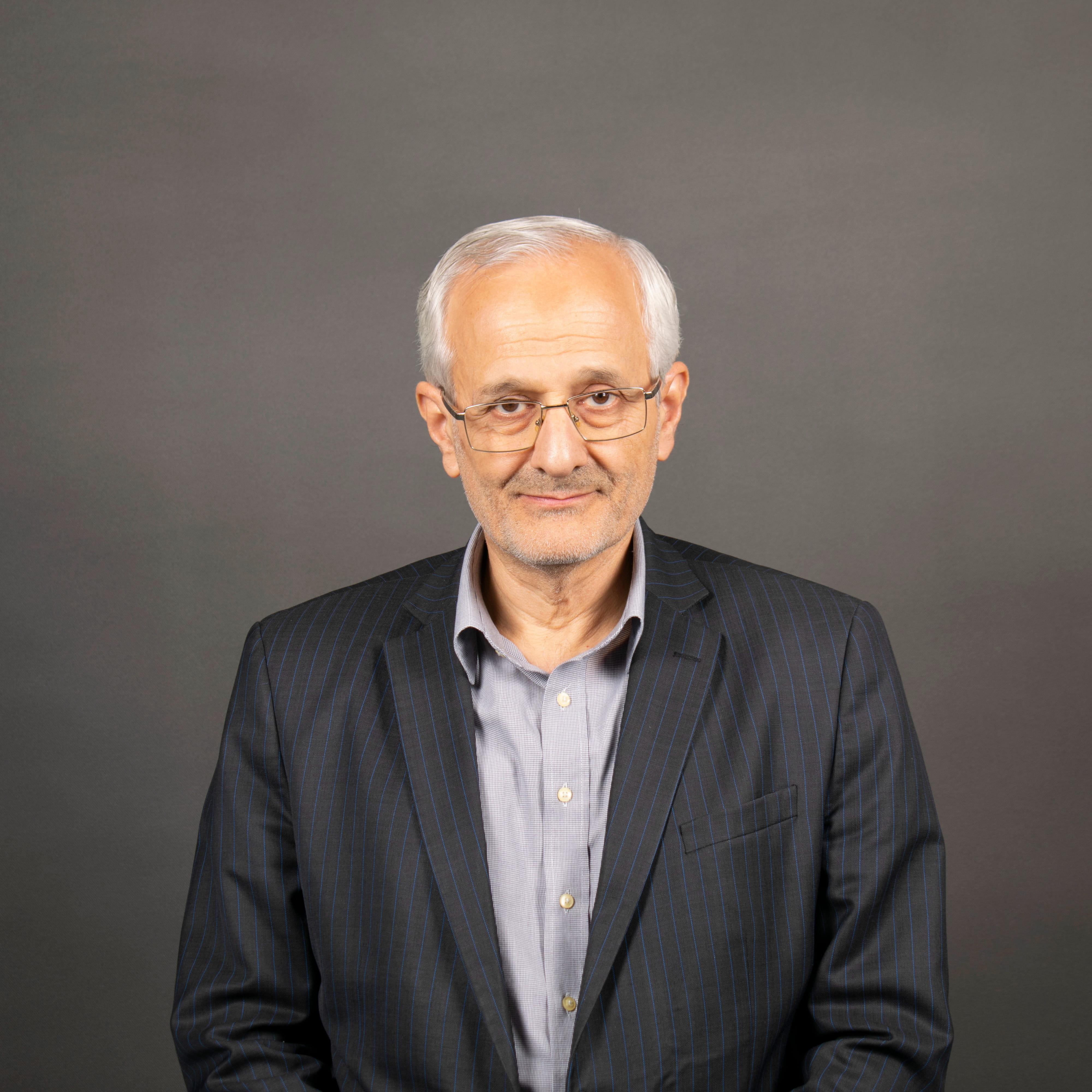 محمدرضا نیلی احمدآبادی